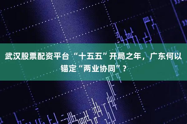 武汉股票配资平台 “十五五”开局之年，广东何以锚定“两业协同”？